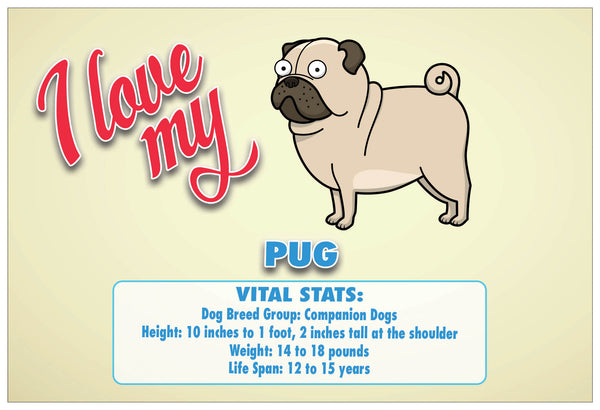 Creanoso I Love My Dog Postcards Ã¢â‚¬â€œ Assorted Card Stock Bulk Set Ã¢â‚¬â€œ Premium Greeting Cards Set