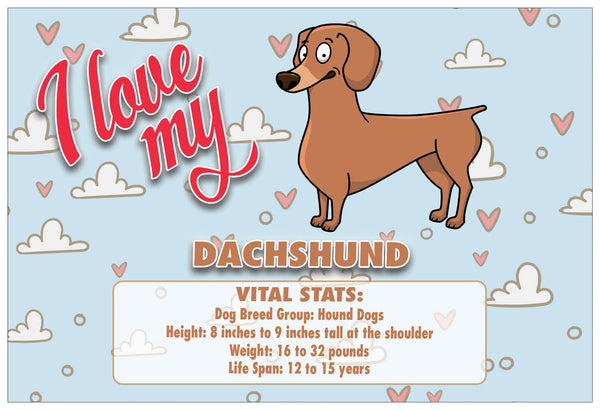 Creanoso I Love My Dog Postcards Ã¢â‚¬â€œ Assorted Card Stock Bulk Set Ã¢â‚¬â€œ Premium Greeting Cards Set