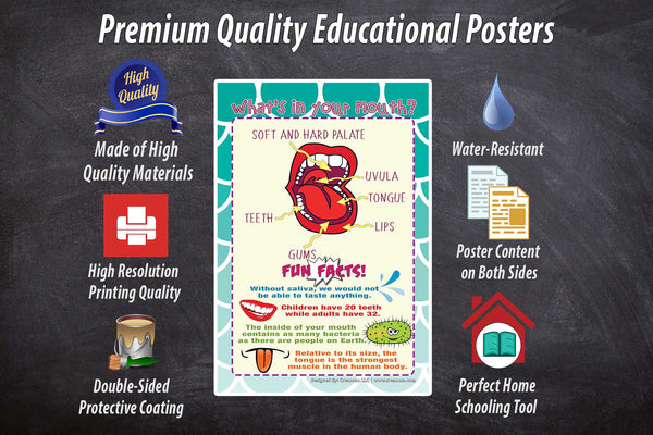 Creanoso Human Body Educational Learning Posters (24-Pack) - DIY Bulk Supply Home Teaching Set