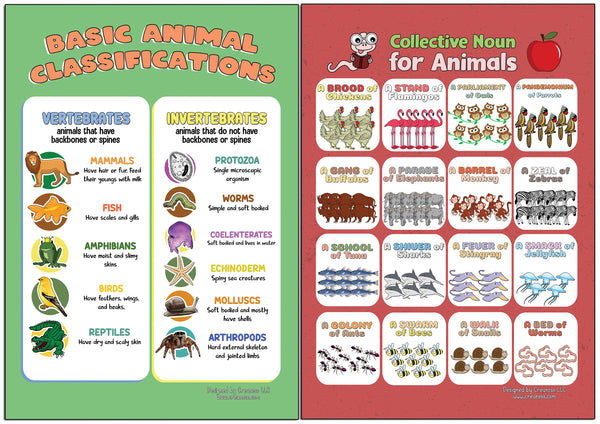 Creanoso Learning Posters - Animals (24-Pack) - Home school Premium Quality Gift Ideas for Children, Teens, & Adults for All Occasions - Stocking Stuffers Party Favor & Giveaways