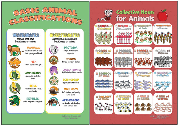 Creanoso Learning Posters - Animals - Fun and Encouraging Homeschool Gift Ideas for Students, Children, Teachers & Adults