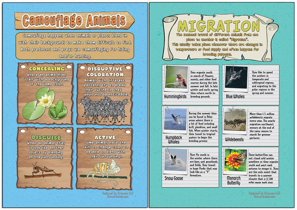 Creanoso Learning Posters - Animals - Fun and Encouraging Homeschool Gift Ideas for Students, Children, Teachers & Adults