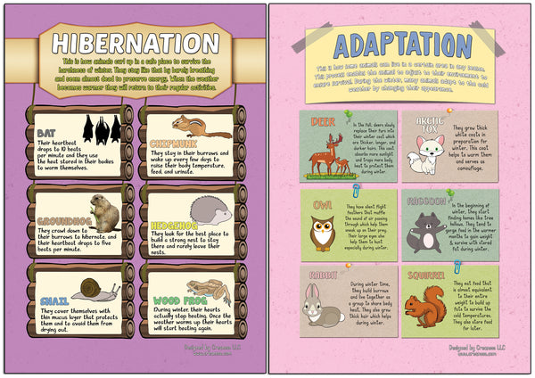 Creanoso Learning Posters - Animals - Fun and Encouraging Homeschool Gift Ideas for Students, Children, Teachers & Adults