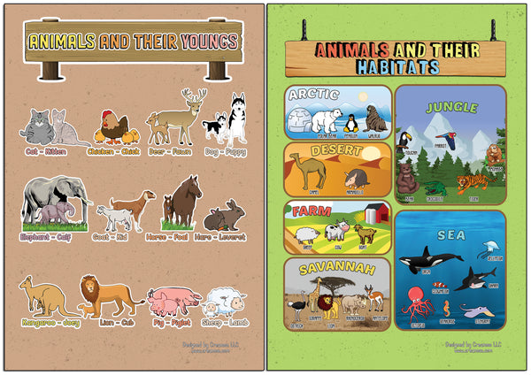 Creanoso Learning Posters - Animals (24-Pack) - Home school Premium Quality Gift Ideas for Children, Teens, & Adults for All Occasions - Stocking Stuffers Party Favor & Giveaways