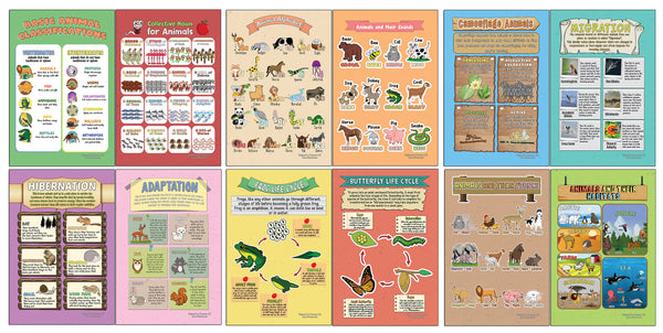 Creanoso Learning Posters - Animals - Fun and Encouraging Homeschool Gift Ideas for Students, Children, Teachers & Adults