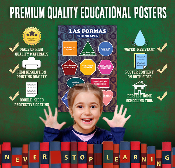 Spanish Vocabulary English Bilingual Educational Learning Posters (12-Pack)