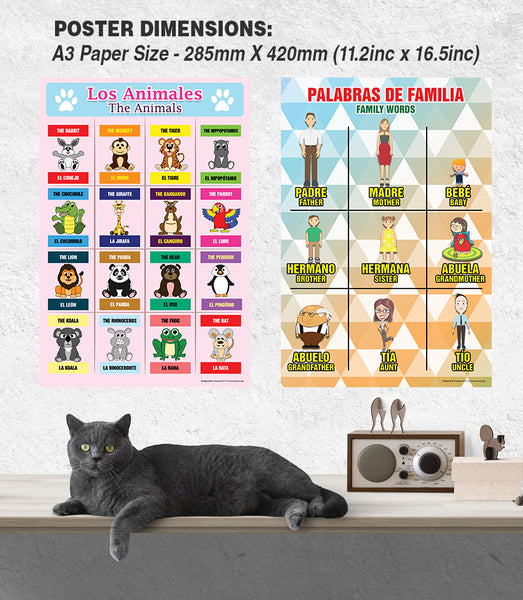 Spanish Vocabulary English Bilingual Educational Learning Posters (12-Pack)