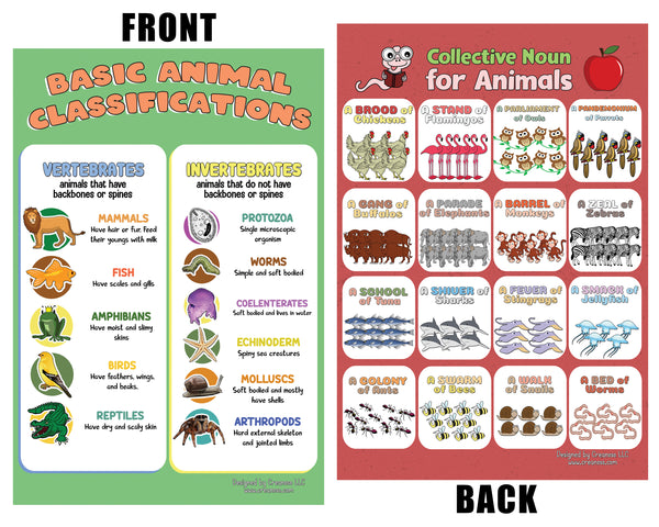 Children Pre-school Elemnetary Animal and Universe Science Educational Learning Posters (12-Pack Front & Back with 24 Topics)
