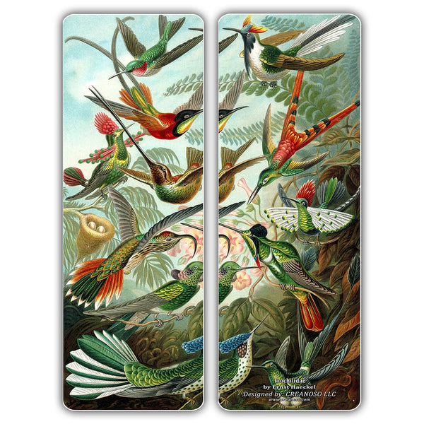 Creanoso Ernst Haeckel Bookmarks - Ecology Biological Illustrations Art Science