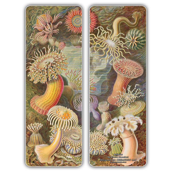 Creanoso Ernst Haeckel Bookmarks - Ecology Biological Illustrations Art Science