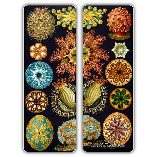 Creanoso Ernst Haeckel Bookmarks - Ecology Biological Illustrations Art Science