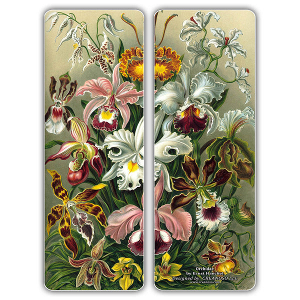 Creanoso Ernst Haeckel Bookmarks - Ecology Biological Illustrations Art Science