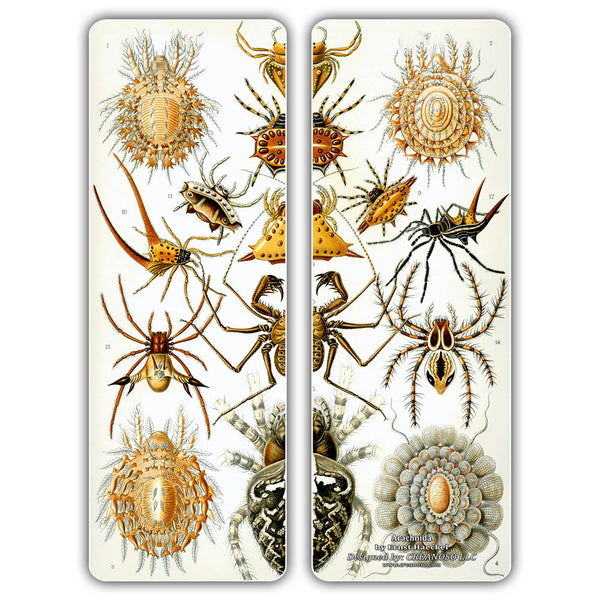 Creanoso Ernst Haeckel Bookmarks - Ecology Biological Illustrations Art Science