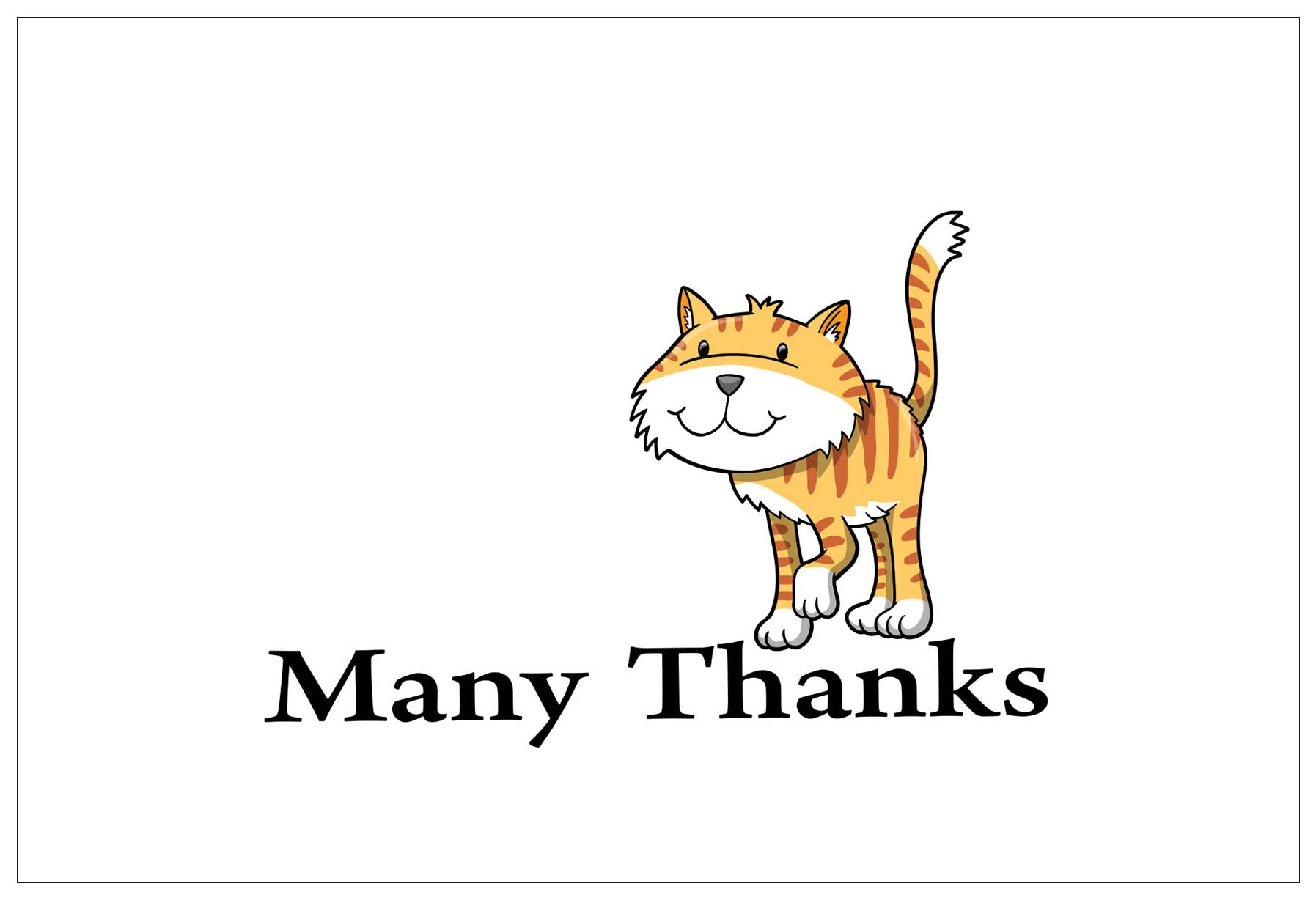 Creanoso Thank You Cards Ã¢â‚¬â€œ Cute Animal Theme Design (12-Pack) Ã, image size:1795x1228