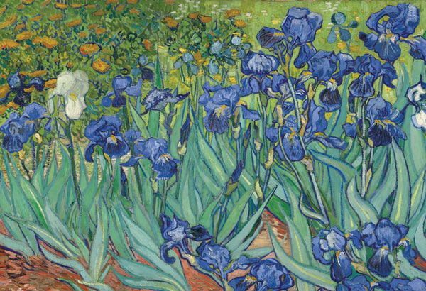 Creanoso Vincent Van Gogh Famous Paintings Poster (6 Pack) â€“ Great Artist Gifts Personal Collection Set for Art Lovers, Men, Women, Professionals, Adults â€“ Premium Value Buy Wall Art Decal DÃ©cor Set